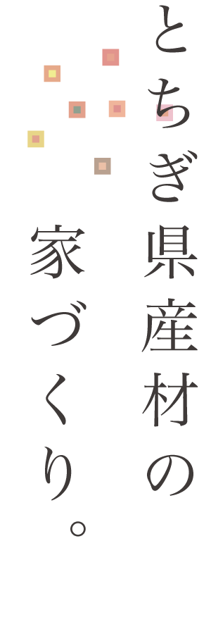 とちぎ県産材の家づくり